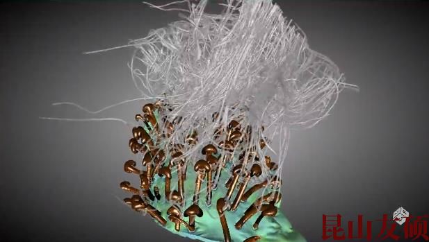 长寿蔡司长寿X射线显微镜